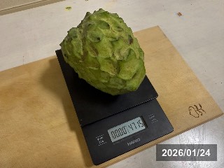 アテモヤ