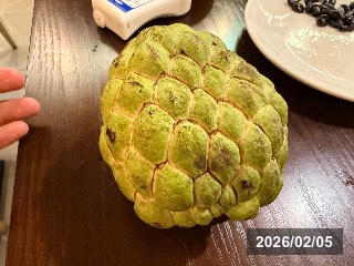 台湾の大型果実