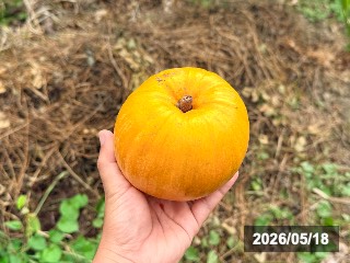 硬い状態