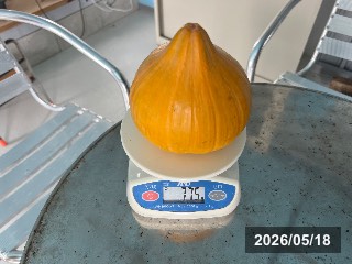 カニステル