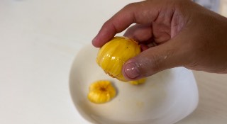 コパラミツ