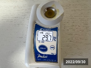 コパラミツ