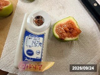 14.2%