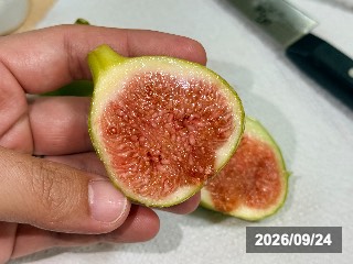 コナドリア