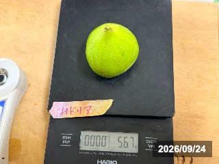 56.7