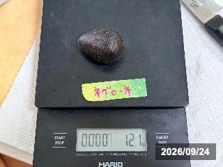 12.1g