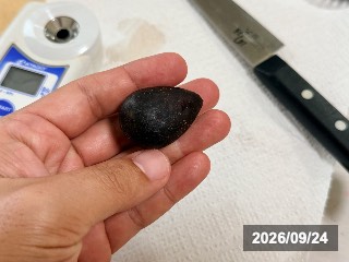 ネグローネ