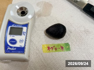 ネグローネ