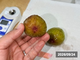 バナーネ