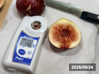 14.6%