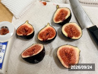 ビオレソリエス