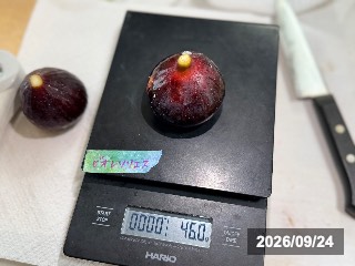 46g