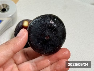 ビオレソリエス
