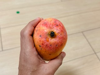 バレンシア プライド