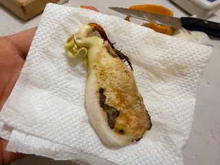 バレンシア プライド