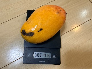 バレンシア プライド