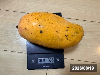 バレンシア プライド