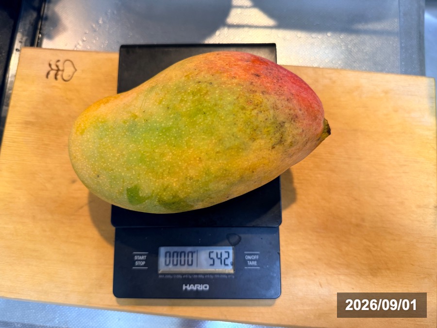 追熟後,542g
