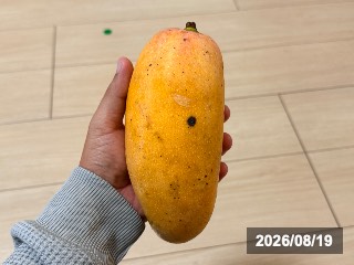 バレンシア プライド