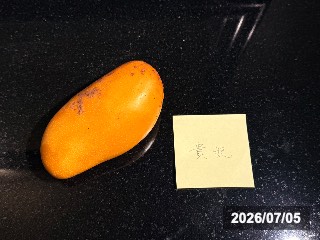 台南のマンゴー市場で購入