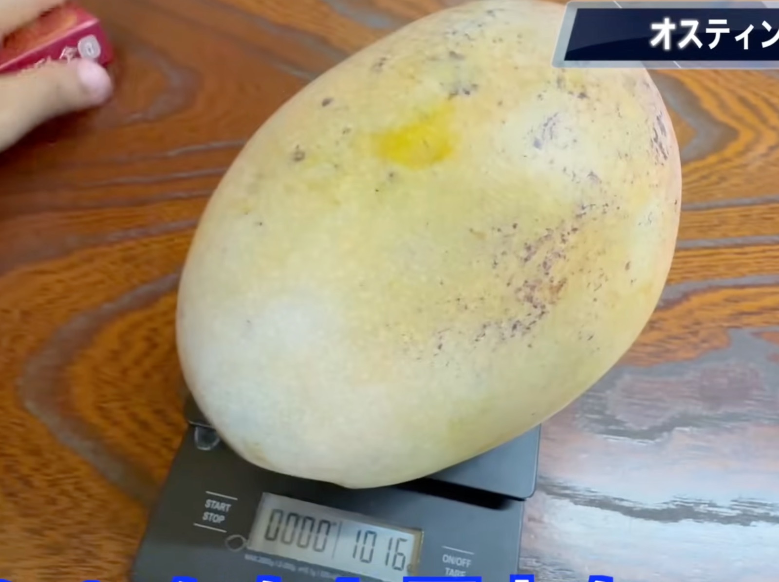 オスティーン