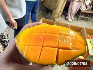 滿滿蔬果合作社さんよりいただきました．