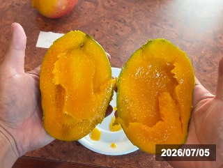 果実の様子，食レポ