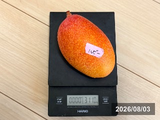 ルビー