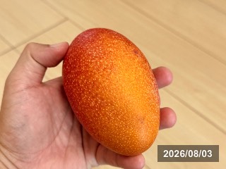 ルビー