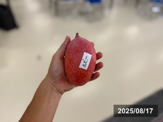 ルビー