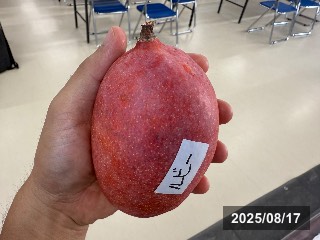 ルビー