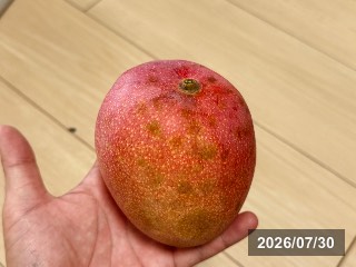 センセーション