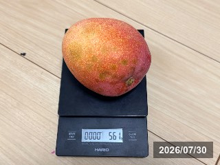 センセーション