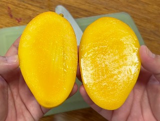 ノウミントウ　農民黨一號