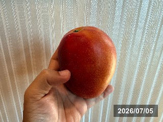 台湾 楠西区で生産されたマンゴー