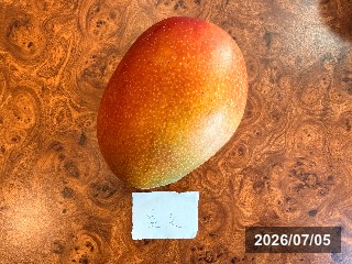 台湾 楠西区で生産されたマンゴー