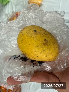 エクセル