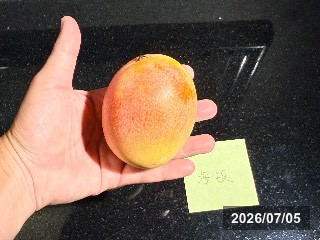 台南 玉井区の市場で購入