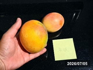 台南 玉井区の市場で購入