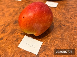 玉井の市場で購入