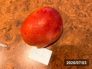玉井の市場で購入