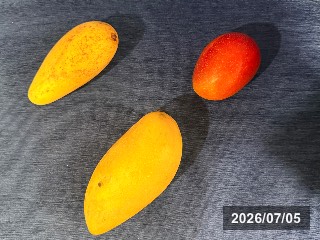 左上:ホワイト，右上:アーウィン，下:キンコウ