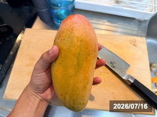 キンコウ　金煌