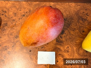 台湾　玉井の市場で購入