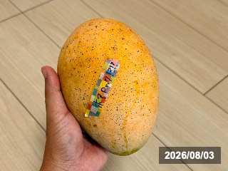 ホアロック Xoài cát Hòa Lộc