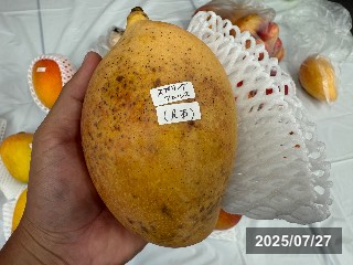 jtfaの交流会にて東明弘さんが持ち込まれた．