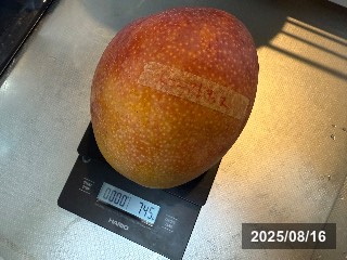 トミー アトキンス