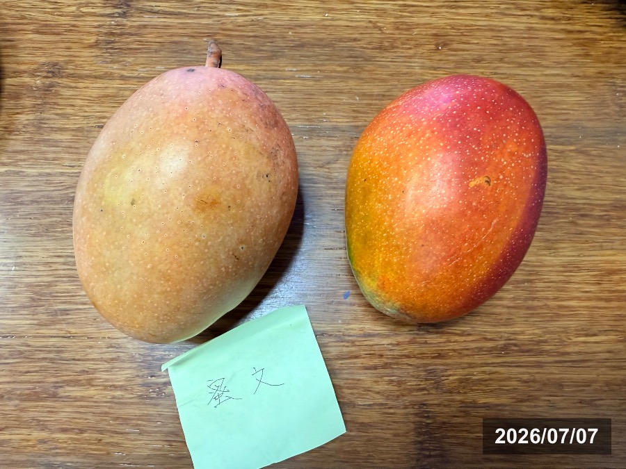 玉井の市場で購入