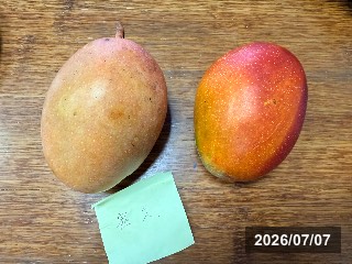 玉井の市場で購入