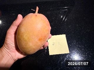 玉井の市場で購入